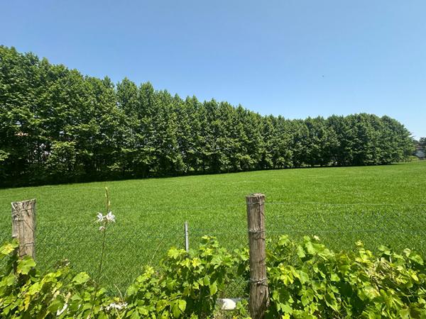 Espelette - Vente Maison  -  MAISON PLAIN-PIED AVEC FORT POTENTIEL LOCATIF