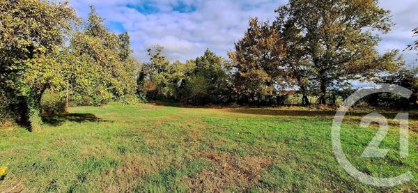 terrain à vendre  1815 m2 DECIZE - 58