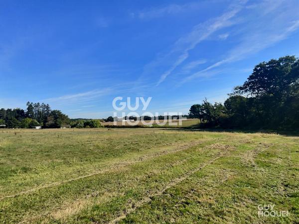 Terrain plat viabilisé 2570 m2 proche Hagetmau