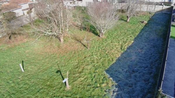 Vente terrain Saint Jean D Illac : 233 100 € - AJP Immobilier Martignas-sur-Jalle