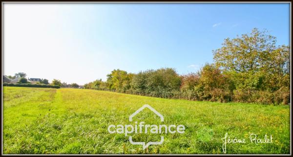 Maison en pierre à vendre 6 pièces 4 chambres terrain 4 700 m² en partie constructible avec dépendances Champigny-En-Rochereau (86)