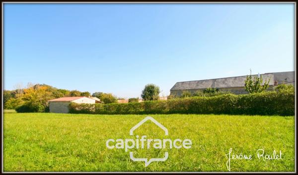 Maison en pierre à vendre 6 pièces 4 chambres terrain 4 700 m² en partie constructible avec dépendances Champigny-En-Rochereau (86)