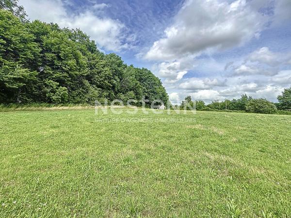 Terrain à bâtir plat de 2924 m² - Sadroc (19270) Parcelle totale de 9226 m²