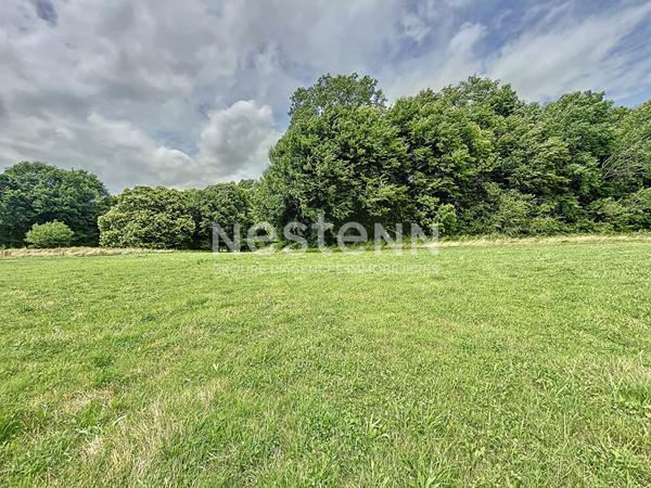 Terrain à bâtir plat de 2924 m² - Sadroc (19270) Parcelle totale de 9226 m²