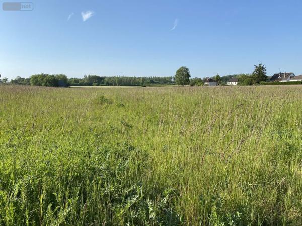 Terrain à Batir à vendre à Saint-Just-Sauvage dans la Marne (51260), ref : 034/1290