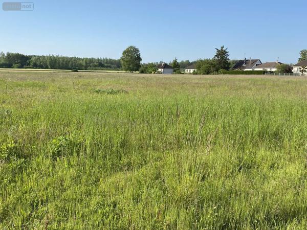 Terrain à Batir à vendre à Saint-Just-Sauvage dans la Marne (51260), ref : 034/1290