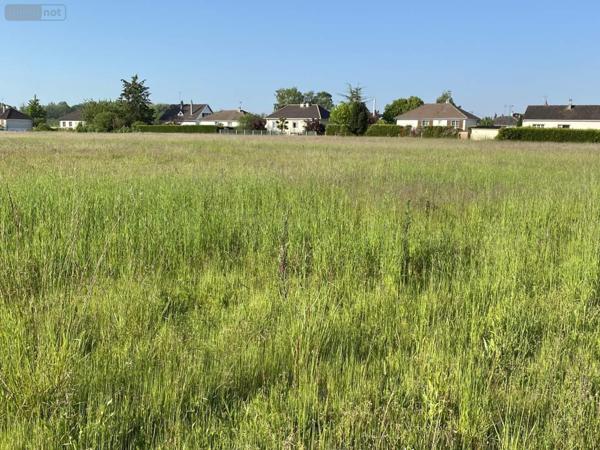 Terrain à Batir à vendre à Saint-Just-Sauvage dans la Marne (51260), ref : 034/1290