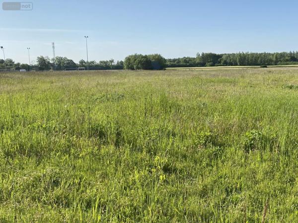 Terrain à Batir à vendre à Saint-Just-Sauvage dans la Marne (51260), ref : 034/1290