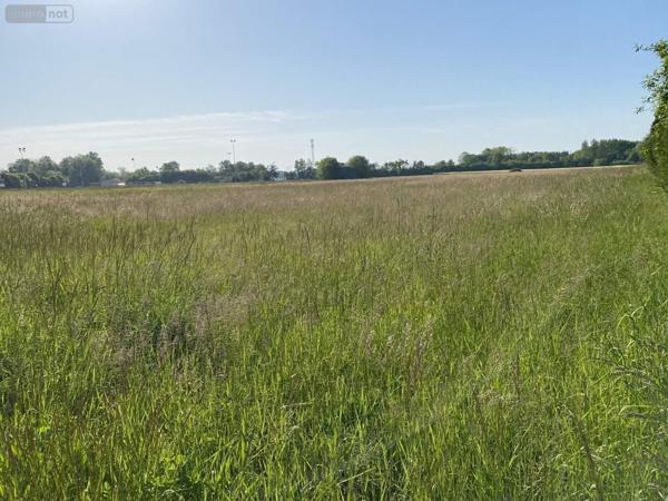 Terrain à Batir à vendre à Saint-Just-Sauvage dans la Marne (51260), ref : 034/1290