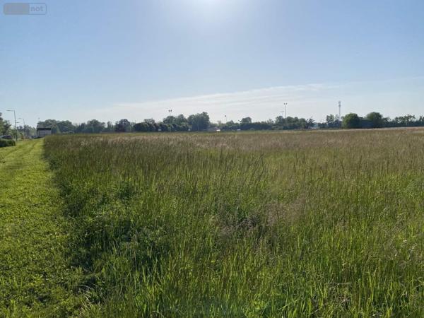Terrain à Batir à vendre à Saint-Just-Sauvage dans la Marne (51260), ref : 034/1290