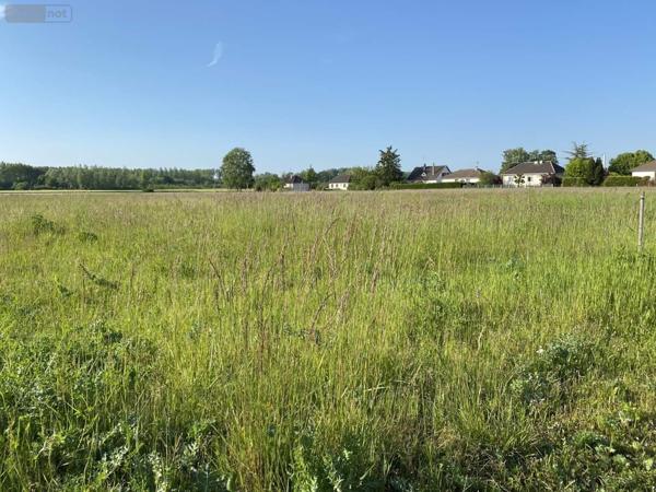 Terrain à Batir à vendre à Saint-Just-Sauvage dans la Marne (51260), ref : 034/1290