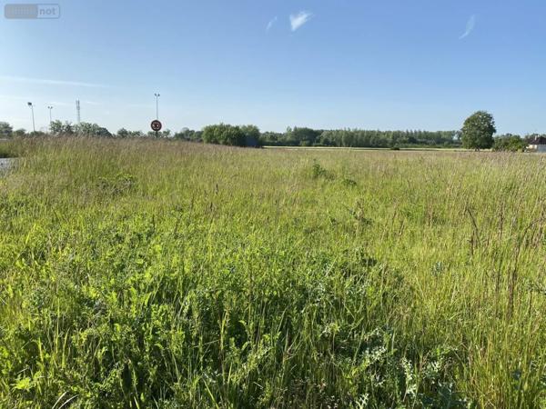 Terrain à Batir à vendre à Saint-Just-Sauvage dans la Marne (51260), ref : 034/1290