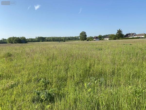 Terrain à Batir à vendre à Saint-Just-Sauvage dans la Marne (51260), ref : 034/1290