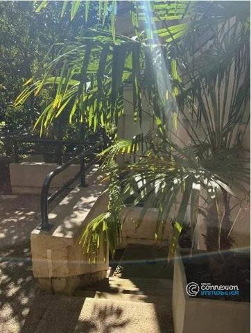 À VENDRE – CAVE EN BRIQUE VOÛTÉE – PARIS 5ᵉ – RUE TOURNEFORT