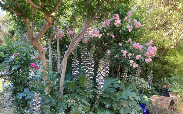 Maison à vendre    5 pièces •  Elne