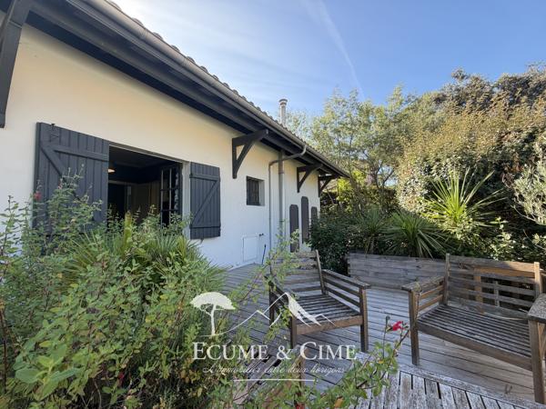Maison aux Abatilles, vue dominante sur les pins