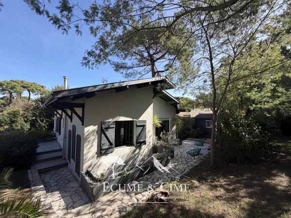Maison aux Abatilles, vue dominante sur les pins