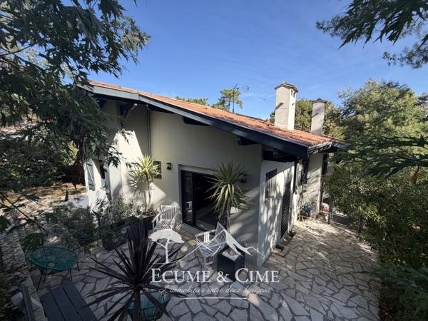 Maison aux Abatilles, vue dominante sur les pins