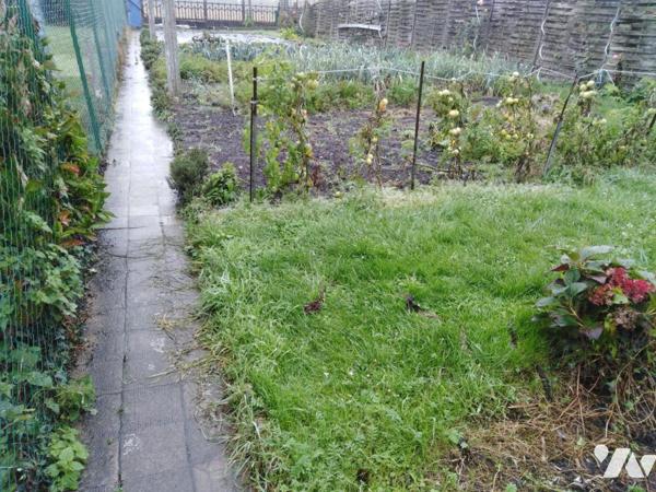 A VENDRE : LA SENTINELLE MAISON SEMI PLAIN PIED