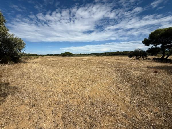 Terrain non constructible 4080 m2