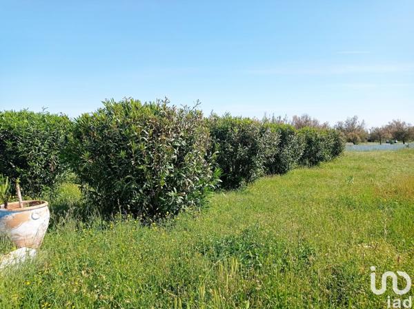 Local commercial à vendre 