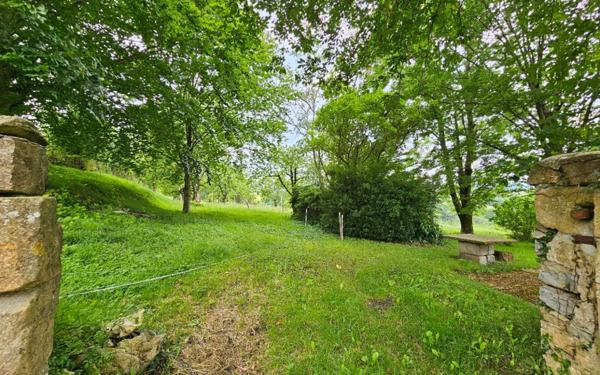 Maison à vendre    7 pièces •  Saint-Palais