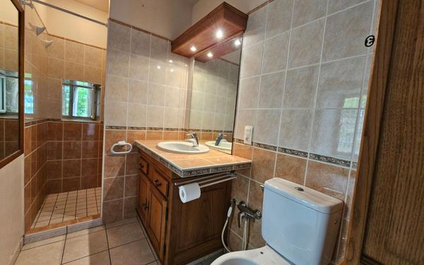 Maison à vendre    7 pièces •  Saint-Palais