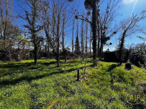 Vente terrain Divatte Sur Loire : 15 000 € - AJP Immobilier Le Loroux-Bottereau