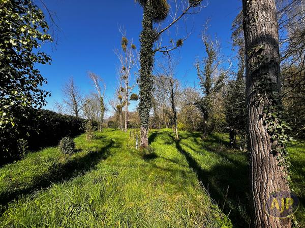 Vente terrain Divatte Sur Loire : 15 000 € - AJP Immobilier Le Loroux-Bottereau