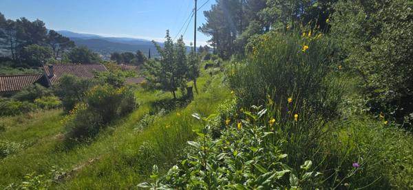 Terrain à vendre de 2 000,00 m² SOLLIES VILLE (83)