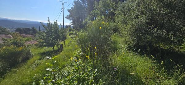 Terrain à vendre de 2 000,00 m² SOLLIES VILLE (83)