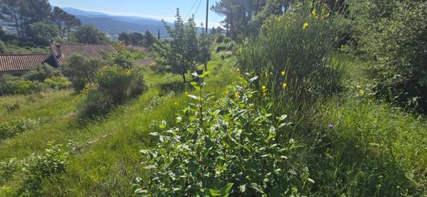 Terrain à vendre de 2 000,00 m² SOLLIES VILLE (83)