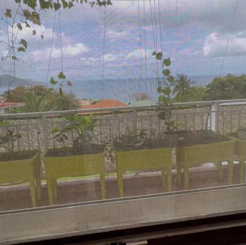 A VENDRE VUE MER SUR POINTE -NOIRE ENSEMBLE IMMOBILER DE 2 APPARTEMENTS DANS GRANDE VILLA ET UN BUNGALOW SUR 810 M² DE TERRAIN