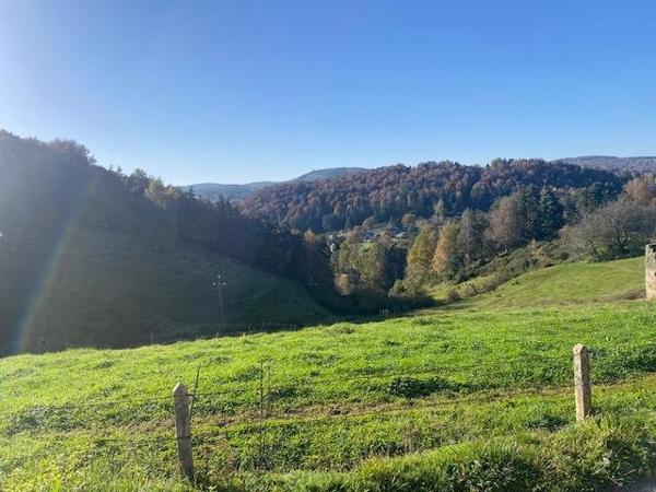 Vente / Maison à Arzenc-d'Apcher (48310)