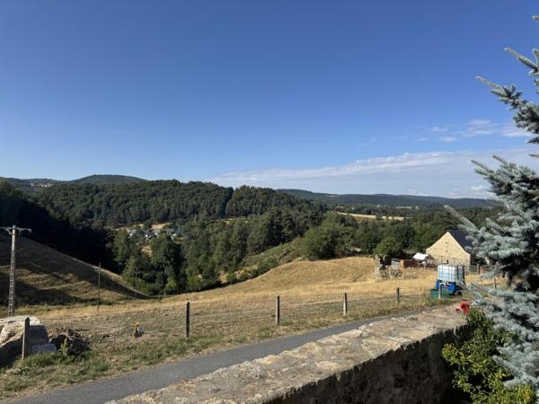 Vente / Maison à Arzenc-d'Apcher (48310)