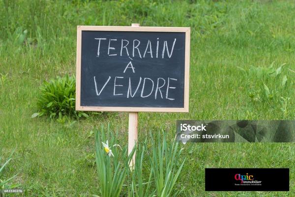 terrain constructible