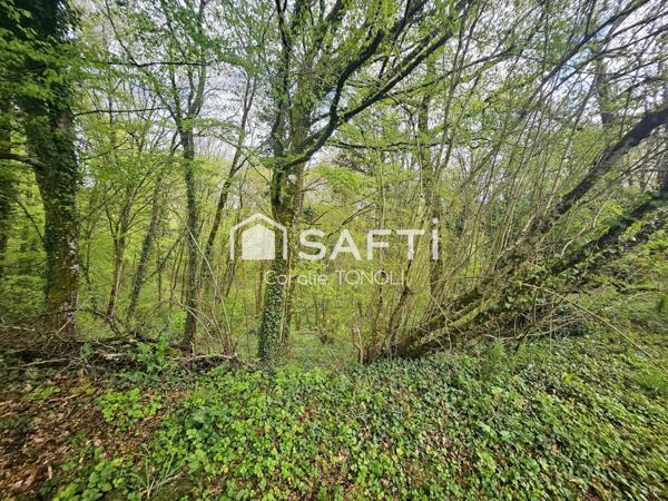 Maison louée + 10 000 m² + potentiel