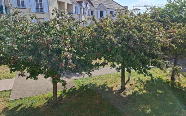 Appartement à vendre    3 pièces • 70,24 m2 Le Plessis-Bouchard