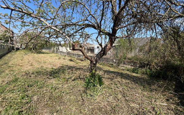 Maison à vendre    5 pièces •  Anguilcourt-le-Sart