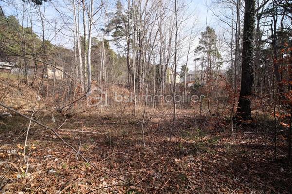 Terrain de 1 370 m²