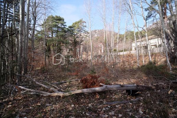 Terrain de 1 370 m²