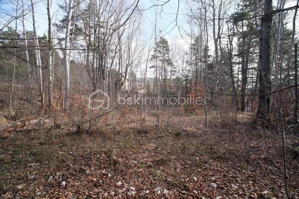 Terrain de 1 370 m²