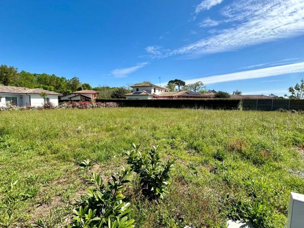 Terrain à vendre    Saubion