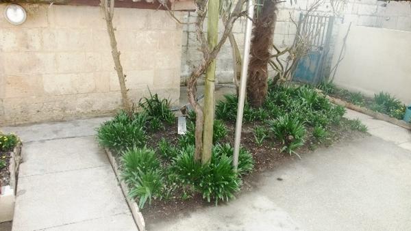 Maison à louer Saintes : 2 pièces, 56m² avec 1 chambre(s) à 650€ - AJP Immobilier Saintes