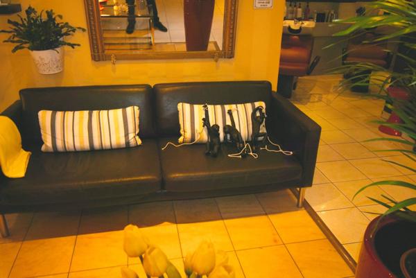 Fonds de commerce à vendre STRASBOURG (67) : Salon de Coiffure HdG - 94 m2 - Coeur de Ville - Piétonnier - Grande Ile