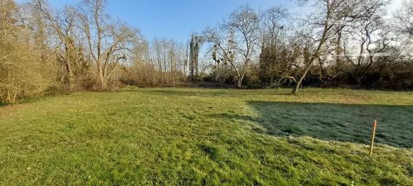 Nous vous proposons à la vente ce terrain de 4675m² situé à Vineuil (5 minutes sud de Blois).