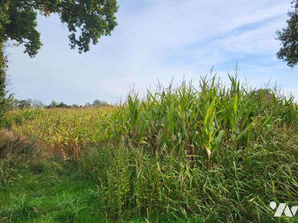 MONTCHAMP : Parcelles de terres agricoles louées