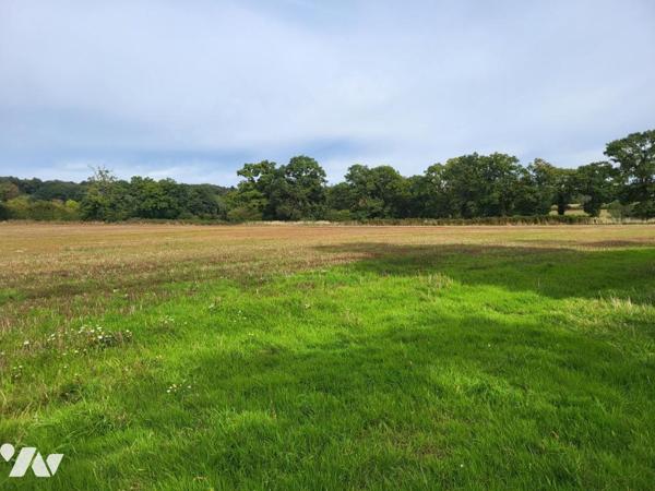 MONTCHAMP : Parcelles de terres agricoles louées
