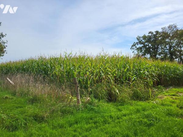 MONTCHAMP : Parcelles de terres agricoles louées