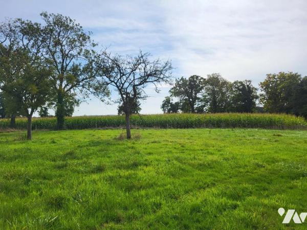 MONTCHAMP : Parcelles de terres agricoles louées